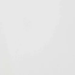 Liquitex® Professional 2oz. Heavy Body Acrylic Paint