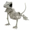 9" Lizard Skeleton by Ashland®