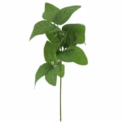13" Long Eucalyptus Pick by Ashland®