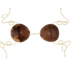 Luau Party Coconut Bikini Top