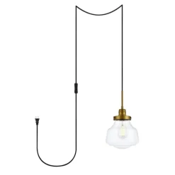 Lyle 1 light Brass and Clear seeded glass plug in pendant