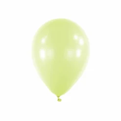 11" Macaron Latex Balloon
