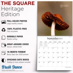 Magic Mushrooms | 2027 12 x 24 Inch (Hanging) Monthly Square Wall Calendar | Plastic-Free