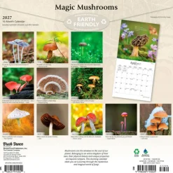 Magic Mushrooms | 2027 12 x 24 Inch (Hanging) Monthly Square Wall Calendar | Plastic-Free