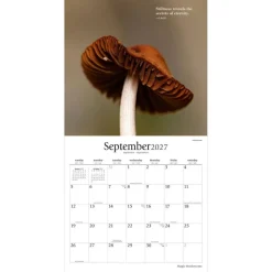 Magic Mushrooms | 2027 12 x 24 Inch (Hanging) Monthly Square Wall Calendar | Plastic-Free