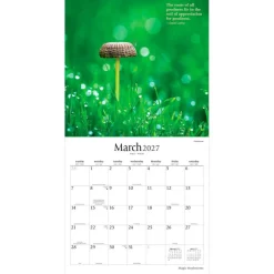 Magic Mushrooms | 2027 12 x 24 Inch (Hanging) Monthly Square Wall Calendar | Plastic-Free