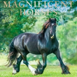 Magnificent Horses | 2027 12 x 24 Inch (Hanging) Monthly Square Wall Calendar | Foil Stamped Cover