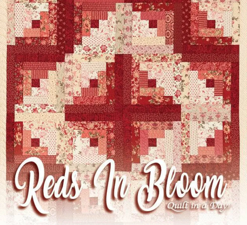 Make a Quilt in a Day 6th Edition Log Cabin Book