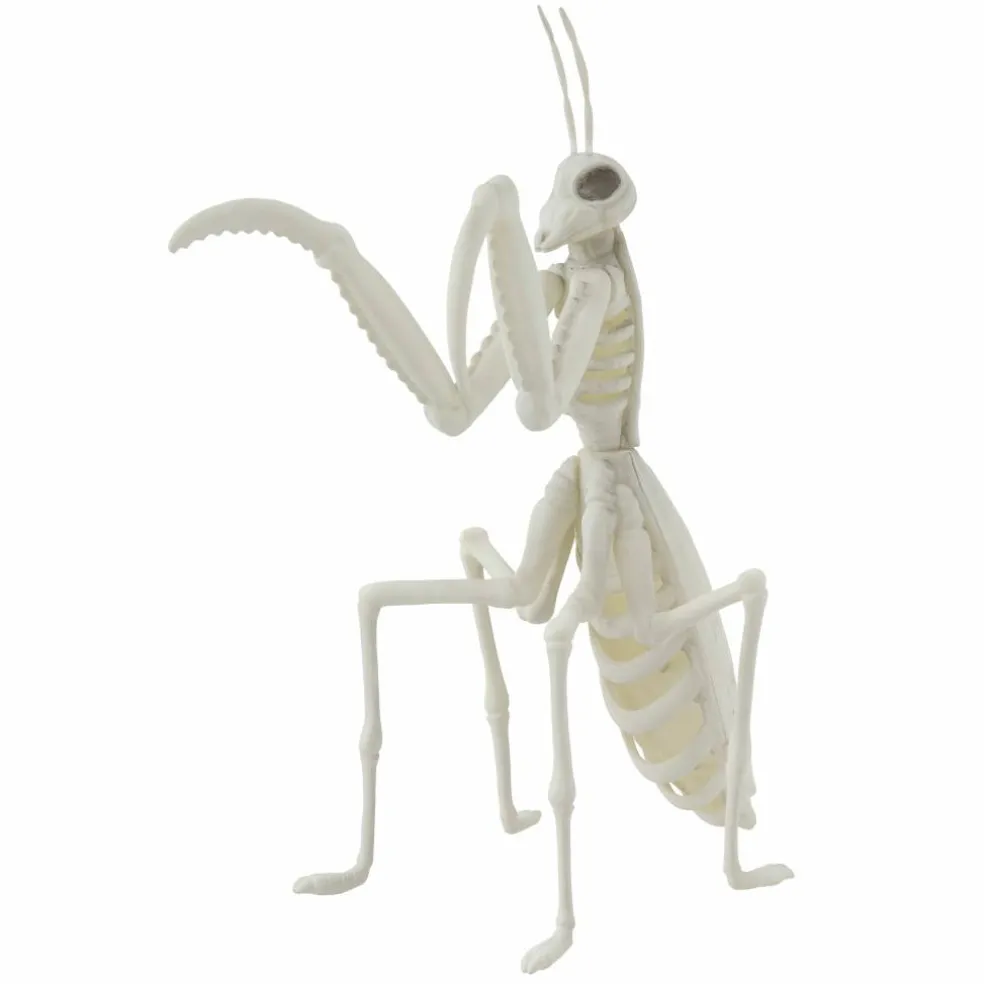 9.4" Mantis Skeleton by Ashland®