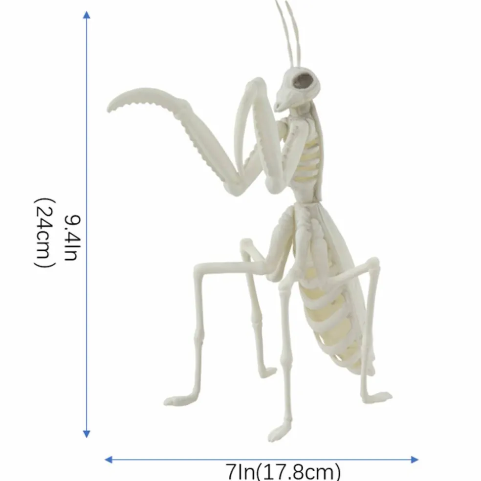 9.4" Mantis Skeleton by Ashland®