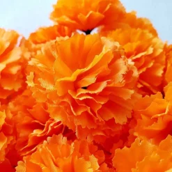 Marigold Flowers Heads Bulk(Orange)