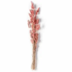 Mauve Lagurus Bundle by Ashland®