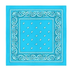 Mechaly Multifunctional 12 Pack Dozen Cotton Paisley Bandanas