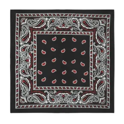 Mechaly Multifunctional 12 Pack Dozen Cotton Paisley Bandanas