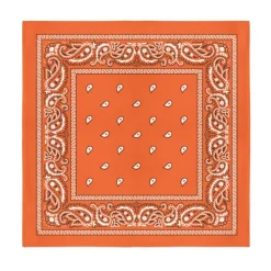 Mechaly Multifunctional 12 Pack Dozen Cotton Paisley Bandanas