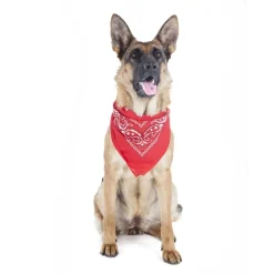 Mechaly 4 Pack Paisley Polyester Pets Dogs Bandana Triangle Shape  - Oversized