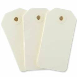 Medium Ivory Tags by Recollections™