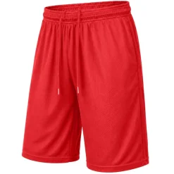 Men's Moisture-Wicking Performace Active Mesh Shorts (S-2XL)