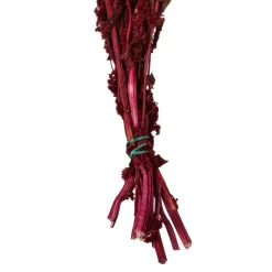 30" Merlot Amaranthus Bundle 7oz