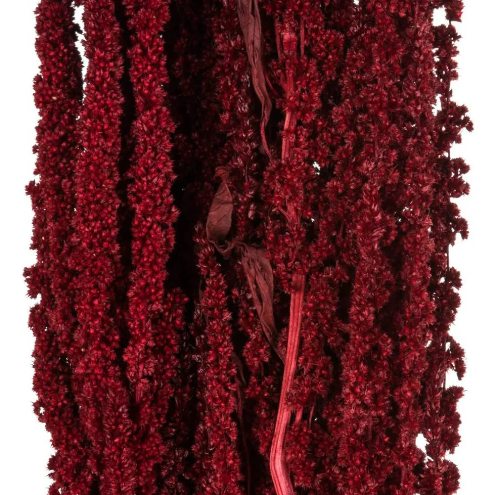 30" Merlot Amaranthus Bundle 7oz