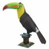 Metal Earth® Keel-Billed Toucan Steel Model Kit