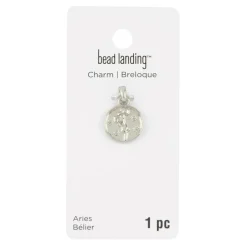 Metal Zodiac Coin Charm by Bead Landing™