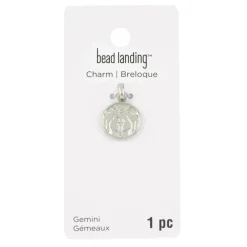 Metal Zodiac Coin Charm by Bead Landing™