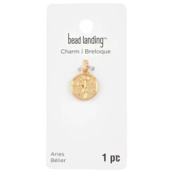 Metal Zodiac Coin Charm by Bead Landing™