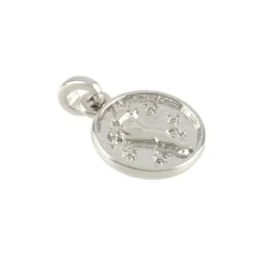 Metal Zodiac Coin Charm by Bead Landing™