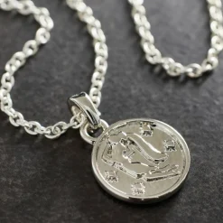 Metal Zodiac Coin Charm by Bead Landing™