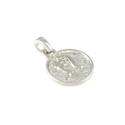 Metal Zodiac Coin Charm by Bead Landing™