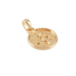 Metal Zodiac Coin Charm by Bead Landing™