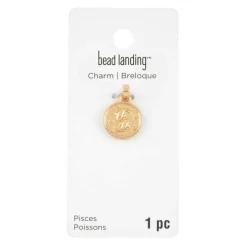 Metal Zodiac Coin Charm by Bead Landing™