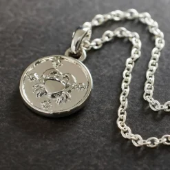 Metal Zodiac Coin Charm by Bead Landing™