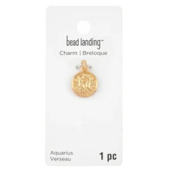 Metal Zodiac Coin Charm by Bead Landing™