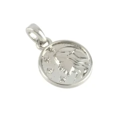 Metal Zodiac Coin Charm by Bead Landing™