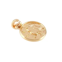 Metal Zodiac Coin Charm by Bead Landing™