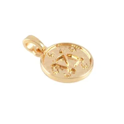 Metal Zodiac Coin Charm by Bead Landing™
