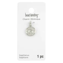 Metal Zodiac Coin Charm by Bead Landing™