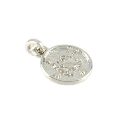 Metal Zodiac Coin Charm by Bead Landing™