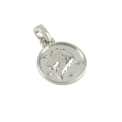 Metal Zodiac Coin Charm by Bead Landing™
