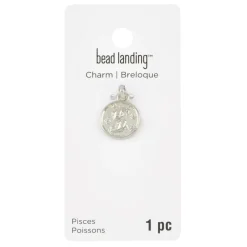 Metal Zodiac Coin Charm by Bead Landing™