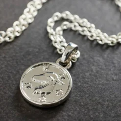 Metal Zodiac Coin Charm by Bead Landing™