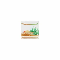 Miniature Fish Bowl by Make Market®
