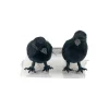 Mini Black Crows, 2ct. by Ashland®