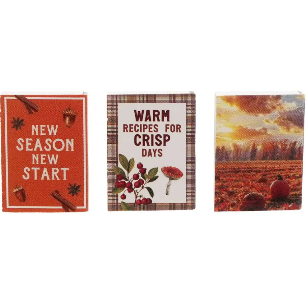 Mini Cookbooks, 3ct. by Ashland®