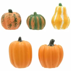 Mini Gourd Set by Ashland®