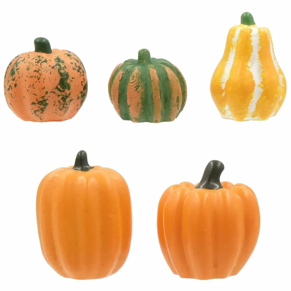 Mini Gourd Set by Ashland®