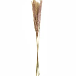 Mini Natural Brown Pampas Bunch by Ashland®