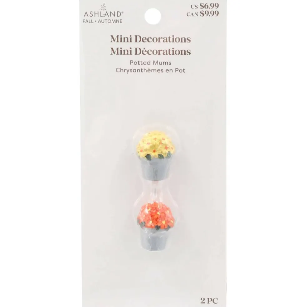 Mini Potted Mums, 2ct. by Ashland®